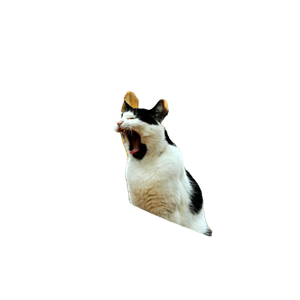 A Black And White Cat Yawning Amidst Freshly Chopped Logs Outdoors. 19193 - Cat PNG image with transparent background